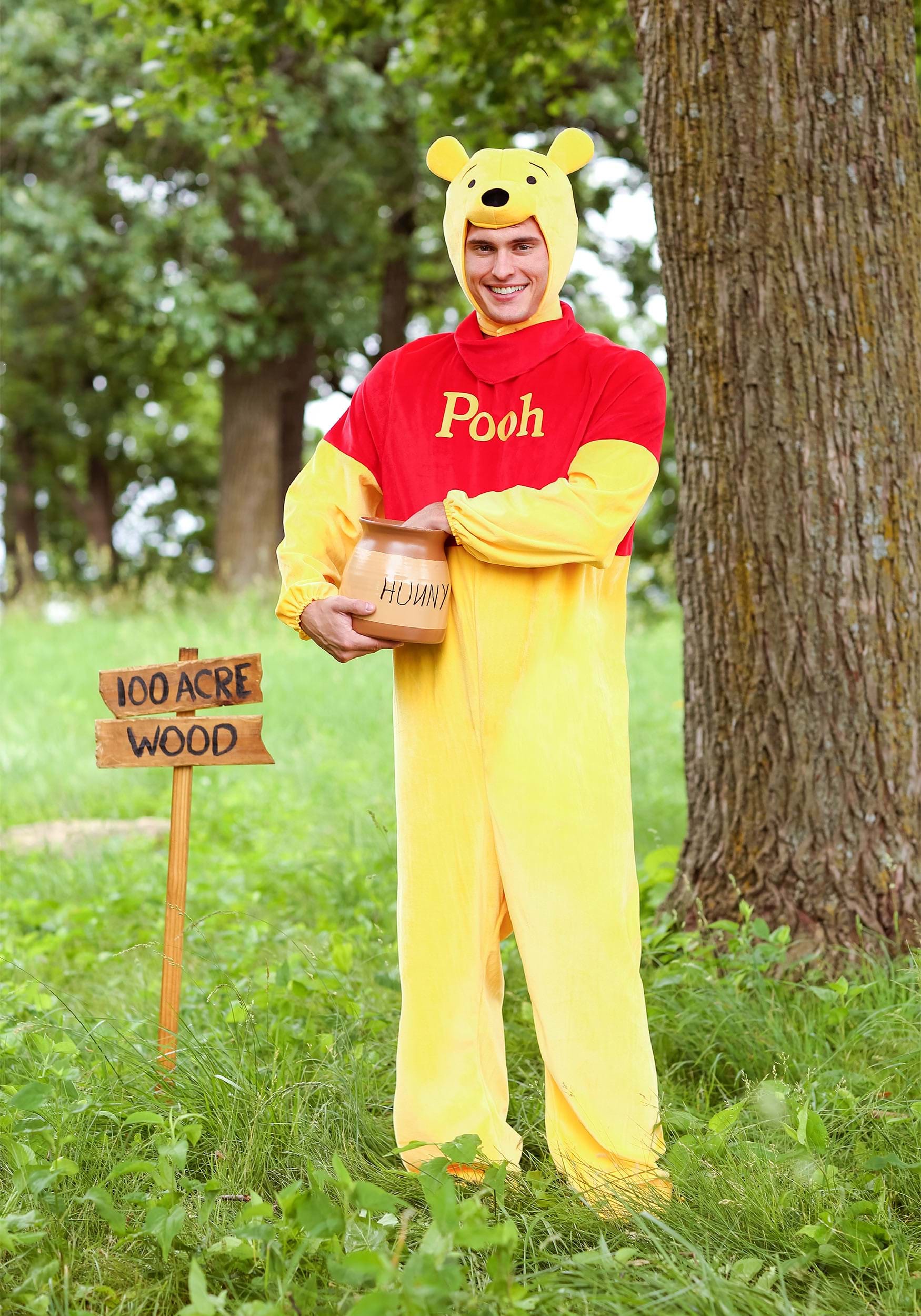 Winnie The Pooh Deluxe Plus Size Fancy Dress Costume