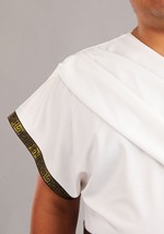 Plus Size Deluxe Greek Warrior Costume Alt 1