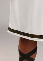 Plus Size Deluxe Greek Warrior Costume Alt 6