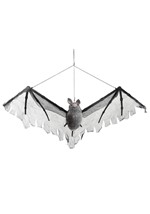 Gray Hanging Bat Alt 1