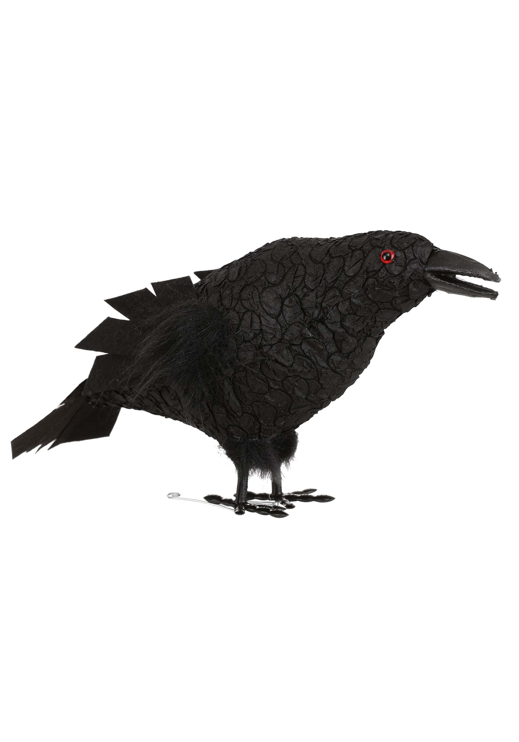 Standing Squawking Crow