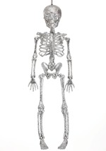 Silver Glitter Skeleton Alt 2