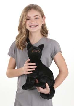Black Cat Costume Companion