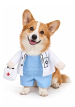 Pet Doctor Costume Alt 1