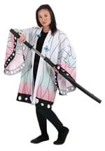 Women's Anime Slayer Kimono Costume