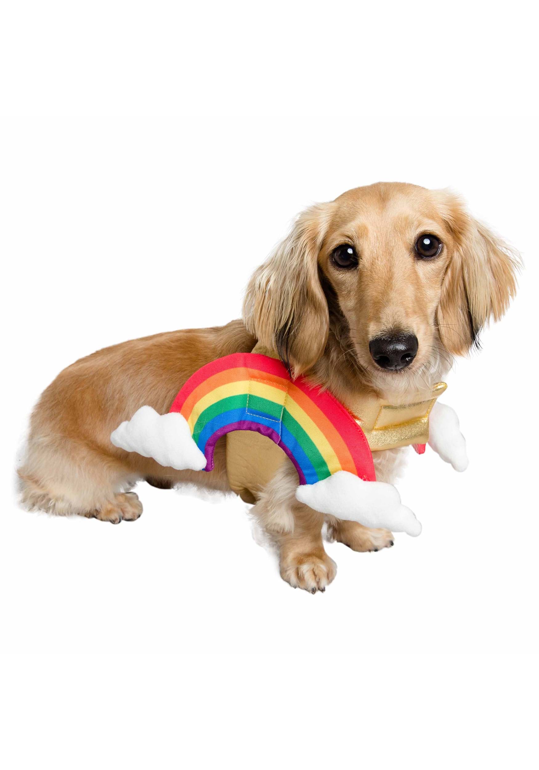 Rainbow Dog Fancy Dress Costume