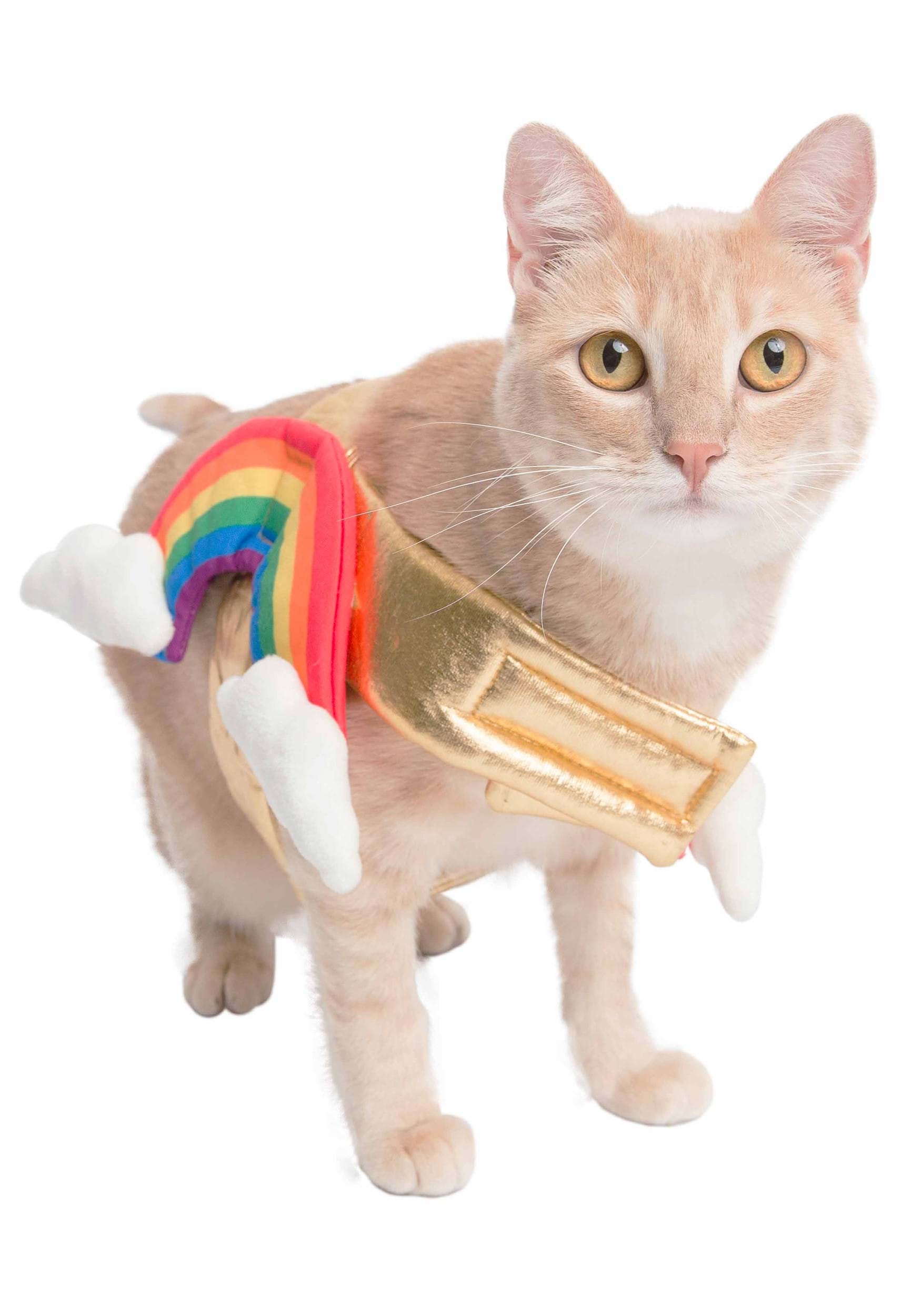 Rainbow Dog Fancy Dress Costume