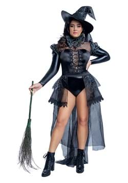 Women's Plus Size Wicked Witch Costume