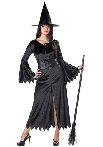 Adult Classic Wicked Witch Costume