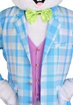 Adult Deluxe Easter Bunny Mascot Costume Alt 3