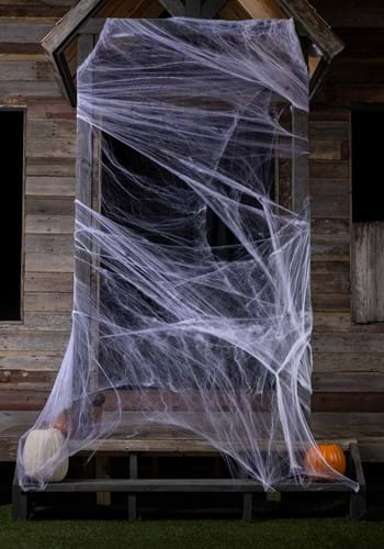 White Spider Web Decoration