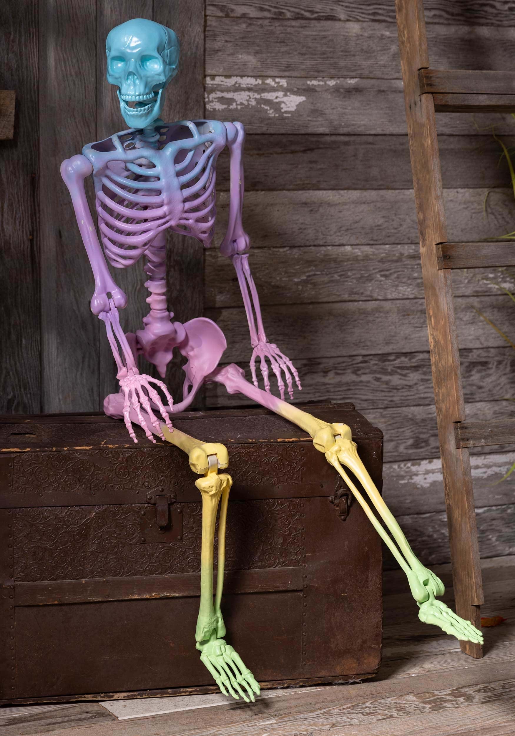 Poseable Crazy Bones Skeleton In Rainbow Halloween Prop