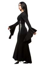 Womens Morticia Costume Dress Alt 2