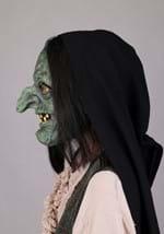 Adult Premium Witch Costume Alt 6