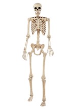 74" Skeleton Alt 6
