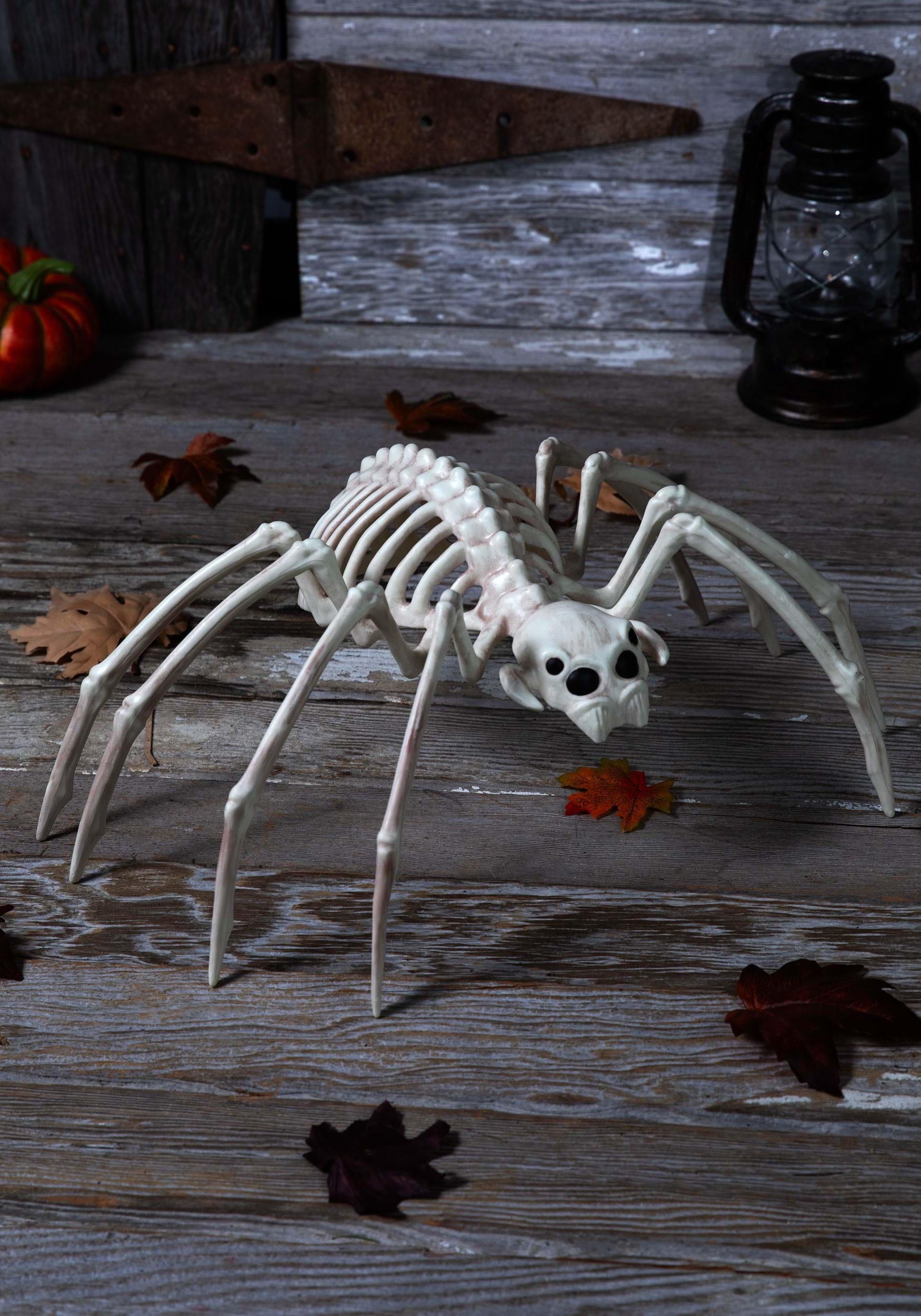 20-Inch Spider Skeleton Halloween Prop , Animal Skeleton Decorations
