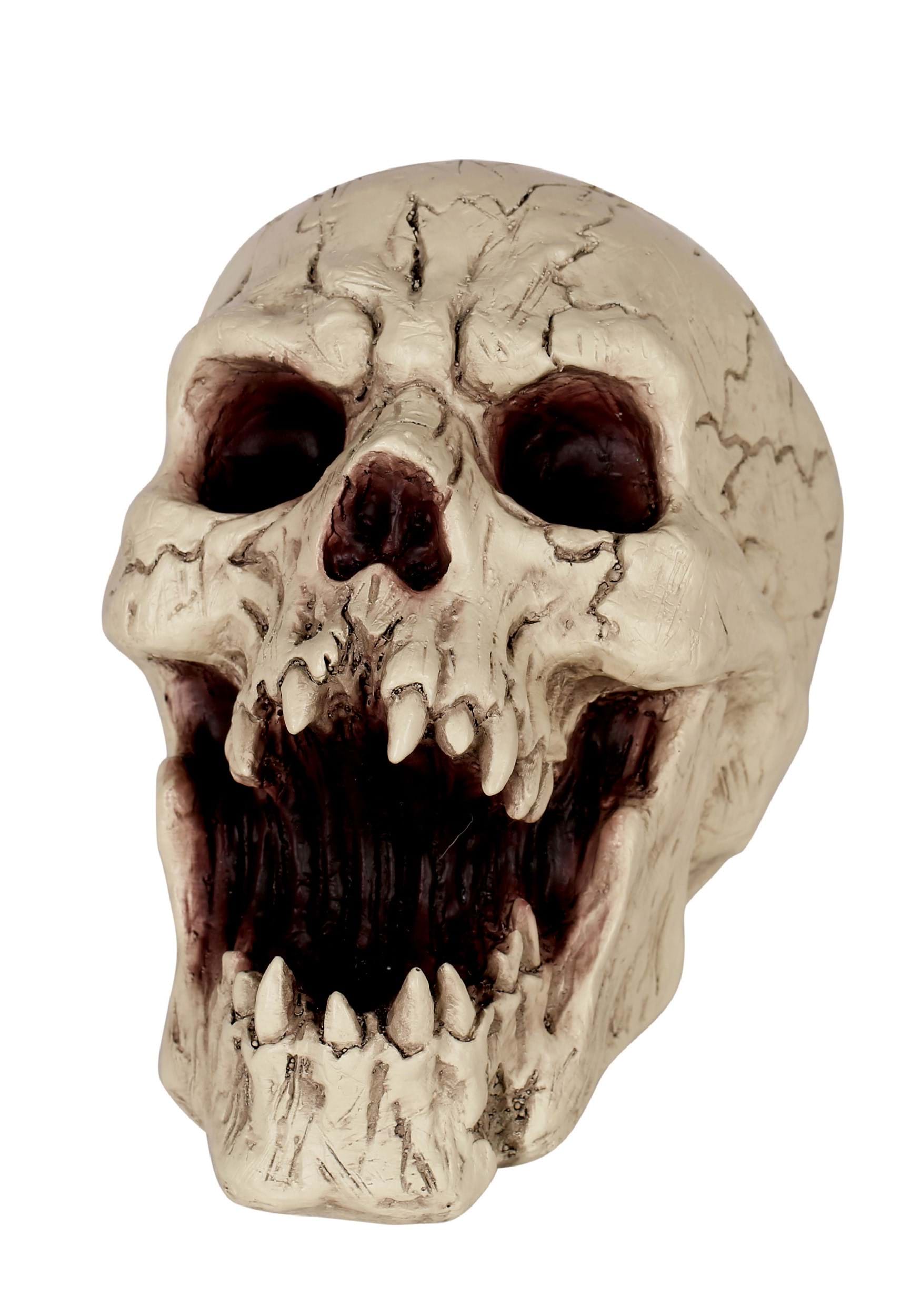 Resin Skull With Sharp Teeth Prop , Skull Decorations
