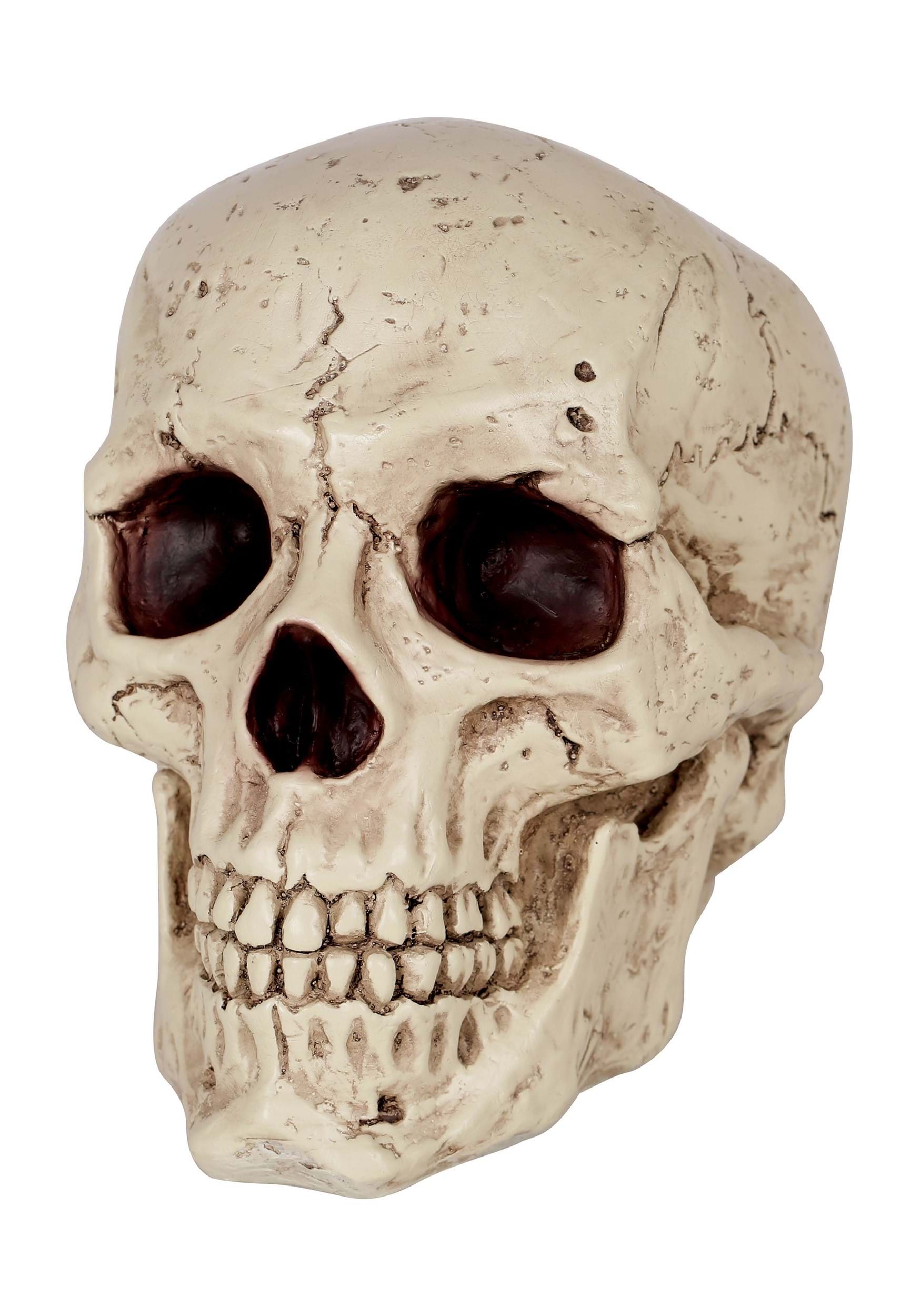 Resin Classic Skull Halloween Prop , Skull Decorations
