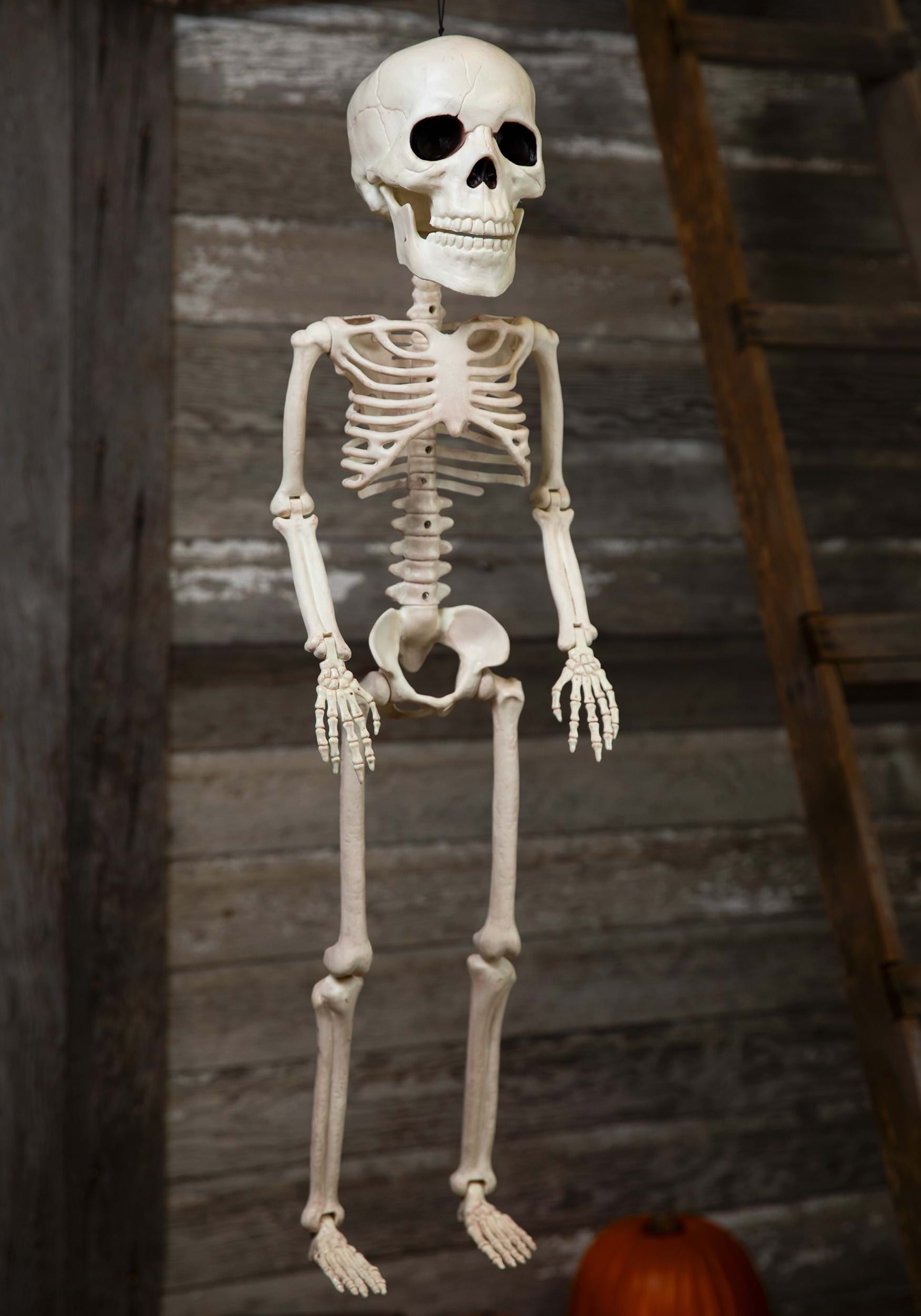 38 Big Head Skeleton Halloween Prop , Skeleton Décor