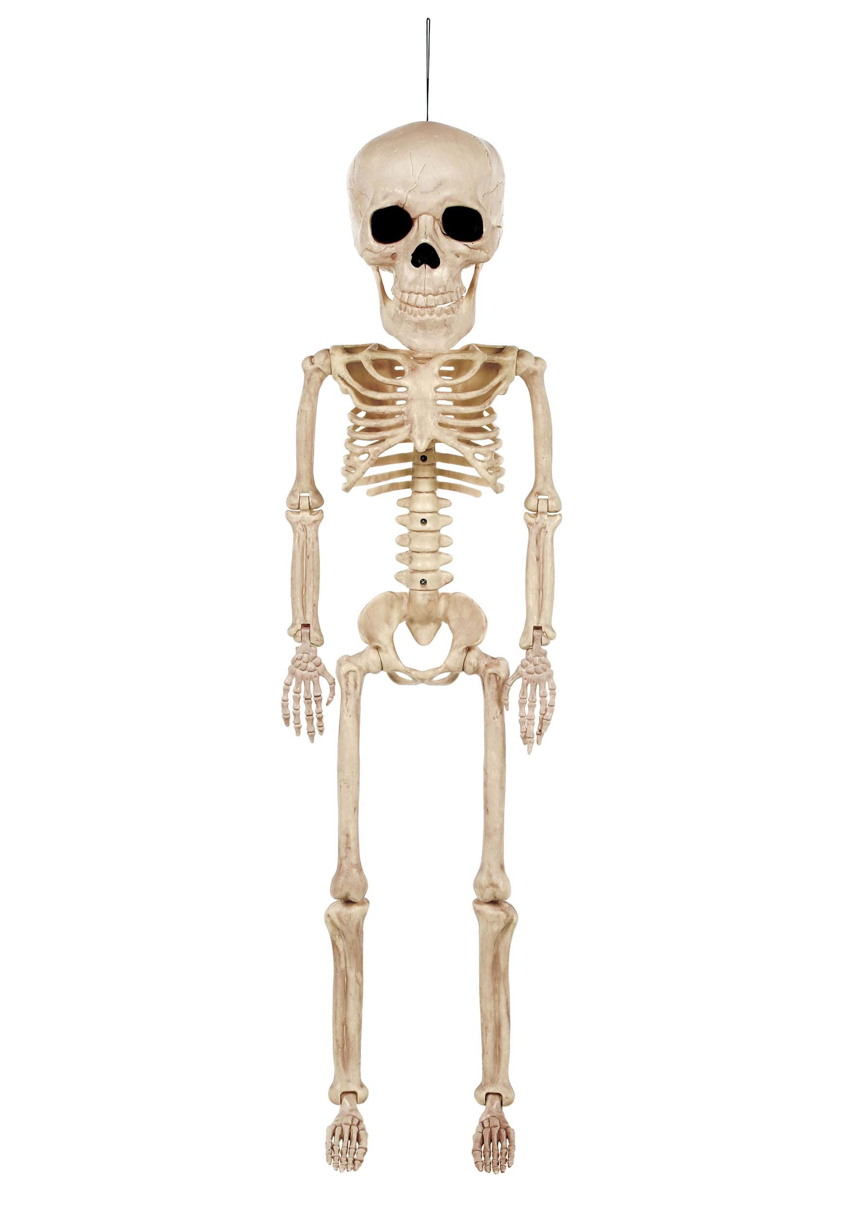 38 Big Head Skeleton Halloween Prop , Skeleton Décor