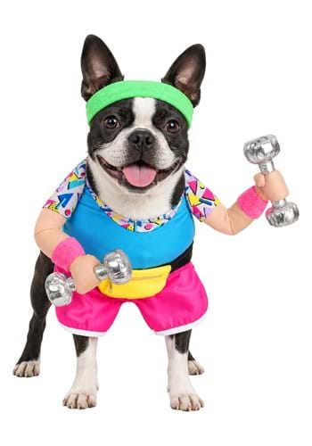 Work Out 1980s Pet Costume new