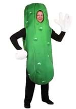 Plus Size Pickle Costume