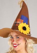Adult Scarecrow Quick Costume Alt 2