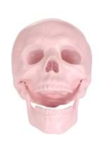 Pink Pastel Skull Alt 2