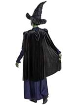 Wicked Adult Deluxe Elphaba Costume Alt 1