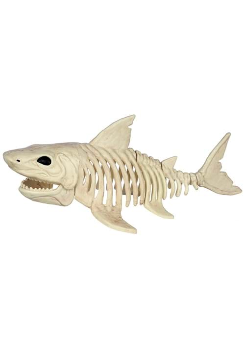2FT Shark Skeleton Decoration