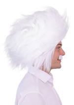 Adult Mad Scientist Costume Wig and Mustache Kit Alt 4
