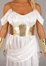 Womens Athena Costume Alt 5