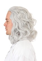 Adult Classic Ben Franklin Costume Wig Alt 2