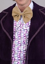 Adult Premium Willy Wonka Chocolate Factory Costume Alt 5