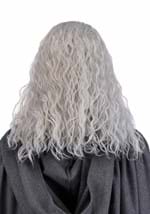 Mens Lord of the Rings Gandalf Costume Wig Beard Alt 1