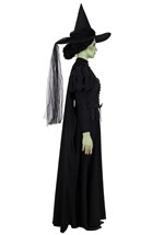 Adult Premium Wizard of Oz Wicked Witch Costume Alt 3