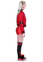 Adult Deluxe Harley Quinn Costume Outfit Alt 9