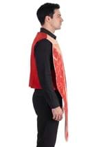 Adult Steak Costume Alt 3
