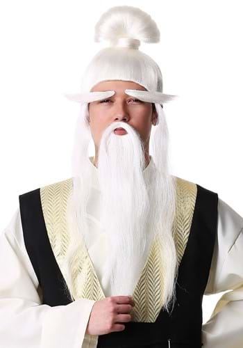 Adult Ancient Martial Arts Master Costume Wig Kit