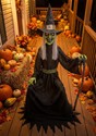 Seated Cackling Witch Animatronic Decoration
